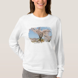T-shirt Japon, Kyoto. Cerisier pleureur sous un ciel bleu