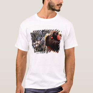 T-shirt Japon, Kyoto. Vue arrière en gros plan de geisha