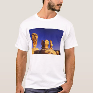T-shirt Jardin des Diables dans le Grand Escalier Escalant