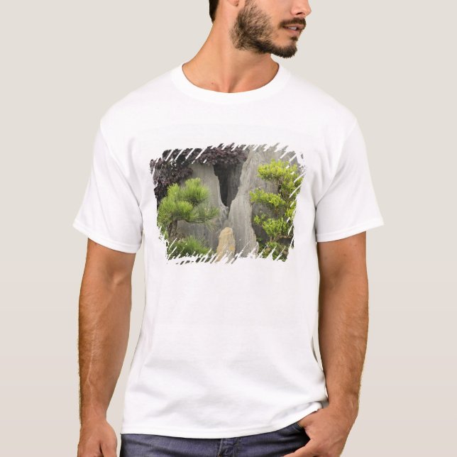T-shirt Jardin familial de Bao, Huangshan, Chine. 2 (Devant)