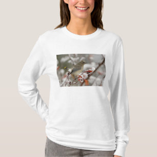 T-shirt Jaseur d'Amérique adulte sur aubépine avec neige