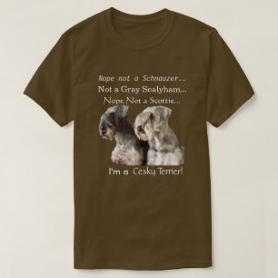 T-shirt Je suis un Cesky Terrier