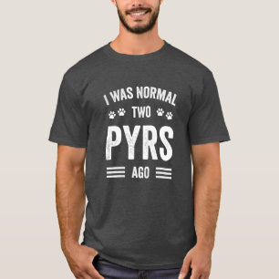 T-shirt J'Étais Normal Il Y A Deux Pyrs Typographie Grand 