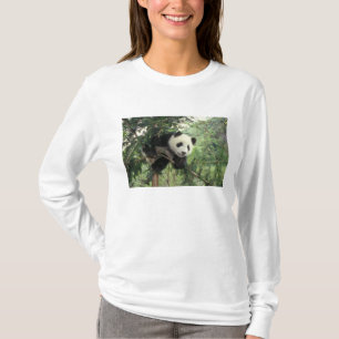 T-shirt Jeune panda géant grimpe à un arbre, vallée de Wol