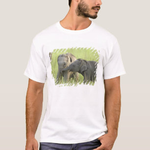 T-shirt Jeunes éléphants indiens / asiatiques