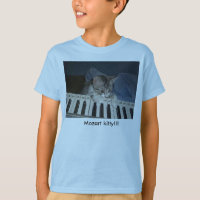 jfu 254, minou de mozart ! , Minou de Mozart ! ! !
