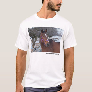 T-shirt Joie NNEP Ottawa, DESSUS