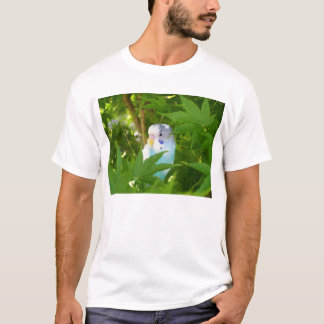 T-shirt Jolie perruche