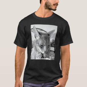 T-shirt Jolies choses pour chats pour filles aux chats fem