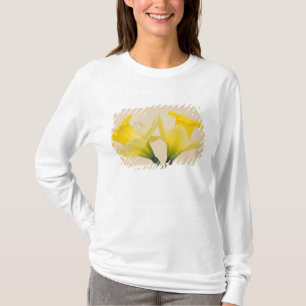 T-shirt Jonquilles jaunes