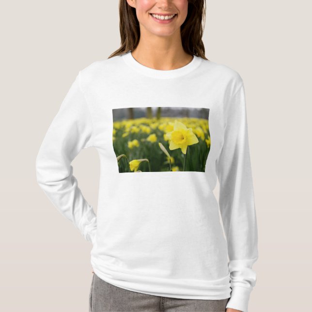 T-shirt Jonquilles (RF) (Devant)