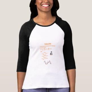 T-SHIRT JOSEPH FOURIER ET SÉRIE DE FOURIER
