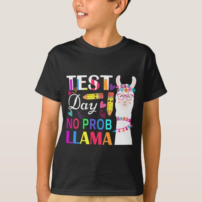 T-shirt Jour No Prob Llama Drôle Enseignant Test 2 (Devant)