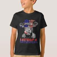 Jour Vache Merica 4 juillet Vaches amateurs