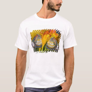 T-shirt Jumeaux à papillons tropicaux