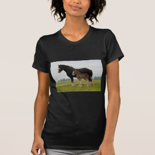 T-shirt jument et pouliche de clydesdale