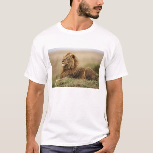T-shirt Kenya, Masai Mara   Lion mâle