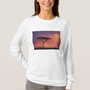 T-shirt Kenya : parc national de Masai Mara, coucher de so