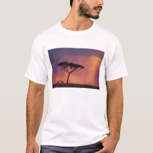 T-shirt Kenya : Parc national de Masai Mara, Coucher de so