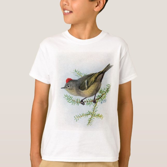 T-shirt Kinglet Rubis-couronné (Devant)