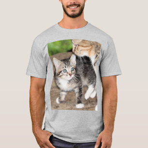 T-shirt Kitten