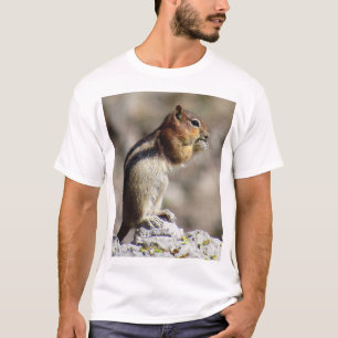 T-shirt KK Écureuil de fond à manches dorées