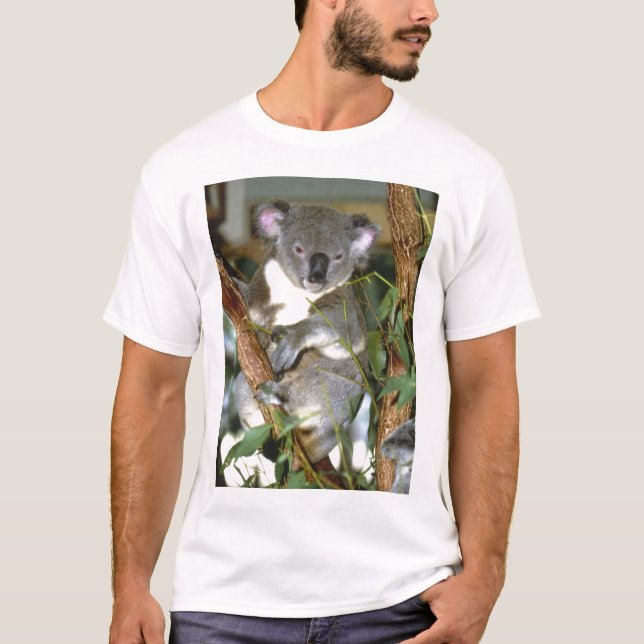 T-shirt koala2 (Devant)