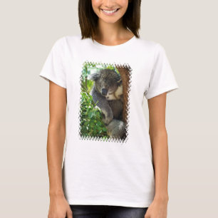 T-shirt koala-34.jpg