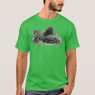 T-shirt L191 Broken Line Royal Pleco Panaque sp