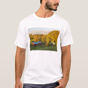 T-shirt La ferme de Jenne dans Woodstock, Vermont. Chute.