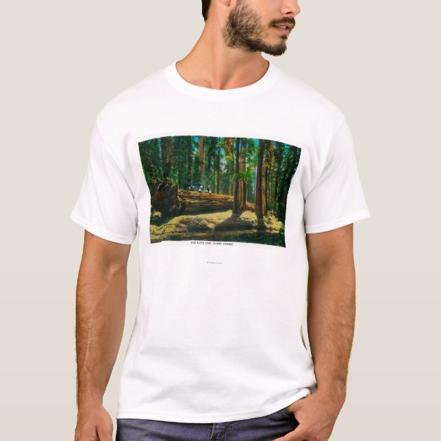T-shirt La forêt géante d'ouverture automatique, séquoias (Devant)