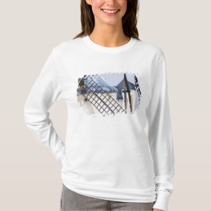 T-shirt La Mancha, Espagne. Don Quichotte a rendu célèbre
