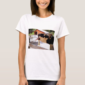 T-shirt La vache le collant est langue pour le maïs éclaté