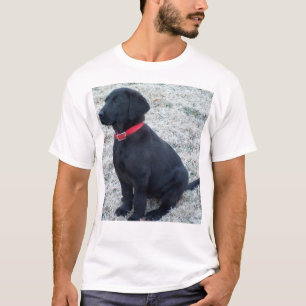 T-shirt Laboratoire noir