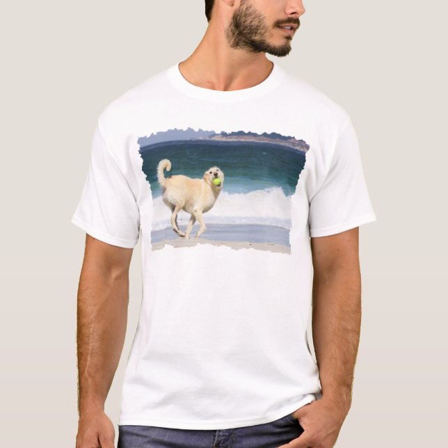T-shirt Labradoodle - jour heureux sur la plage (Devant)