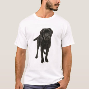 T-shirt Labrador retriever noir