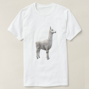 T-shirt lama/alpaca blanc