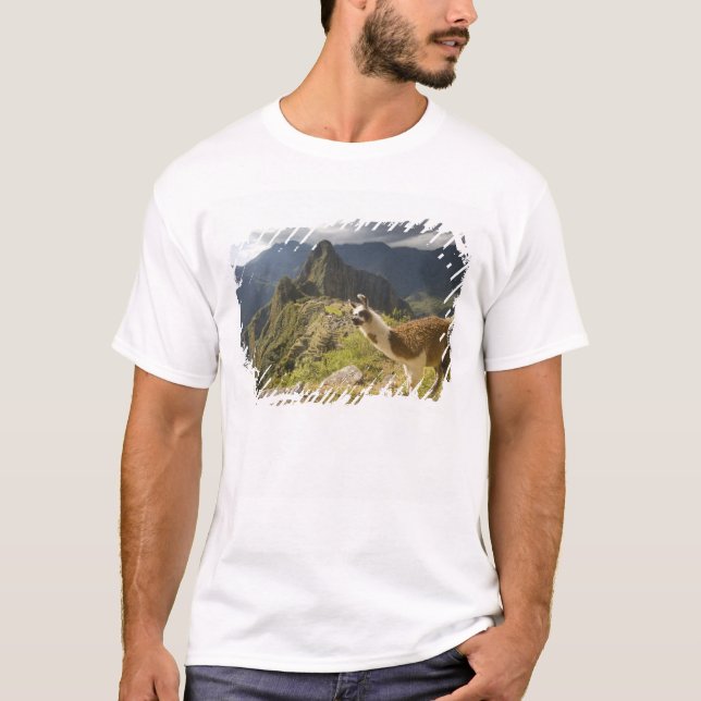 T-shirt Lamas et un regard sur Machu Picchu, (Devant)