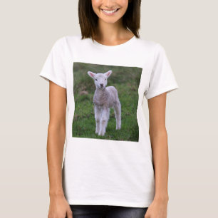 T-shirt Lamb Bébé Mouton ferme animal