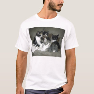 T-shirt L'amour de Kitty chronomètre 5