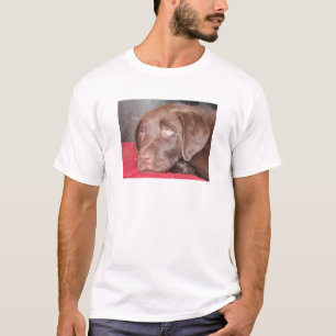 T-shirt Le chiot de Labrador de chocolat considère