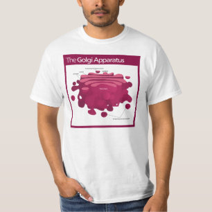 T-shirt Le diagramme de complexe de Golgi d'appareillage