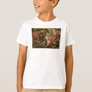 T-shirt le dinosaure, Dinorama badine la chemise