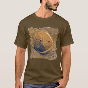 T-shirt Le dollar de sable a indiqué sur la plage   Hilto