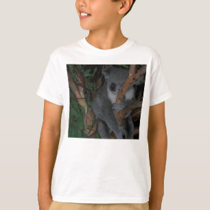 T-shirt Le koala badine la chemise