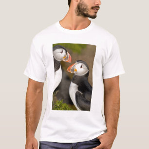 T-shirt Le Macareux atlantique
