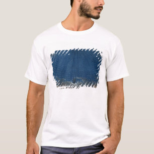 T-shirt Le palais de la reine de la nuit