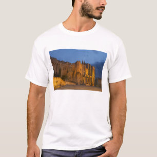 T-shirt Le Palais des Papes à Avignon au coucher du soleil
