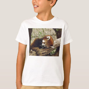 T-shirt Le panda rouge de sommeil mignon avec la
