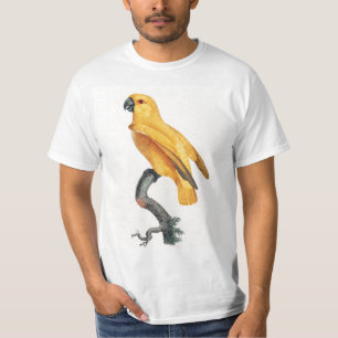 T-shirt Le perroquet du Sénégal
